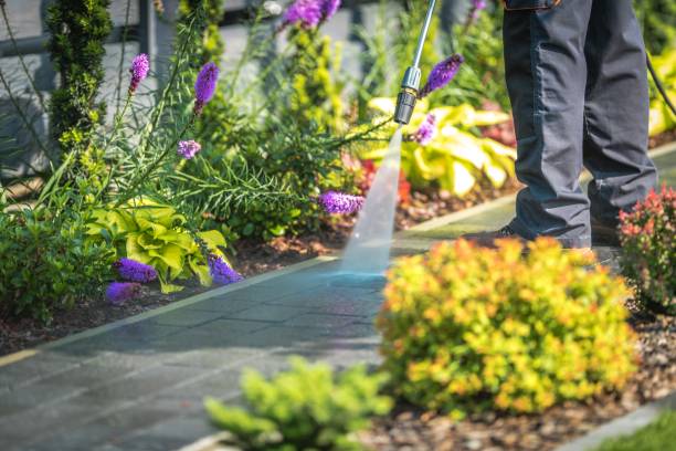 Best Spring Cleaning  in Hillsboro, TX
