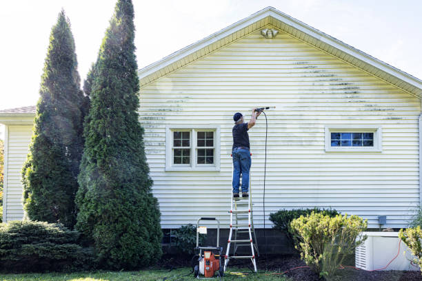 Best Driveway Pressure Washing  in Hillsboro, TX